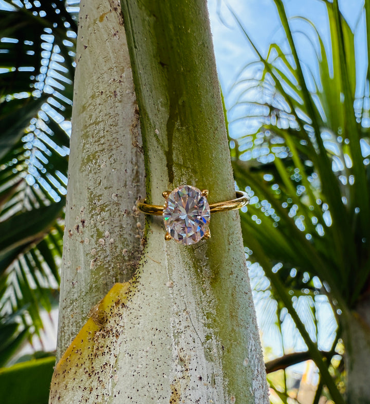 CHR Solitaire Oval Cut Ring Guld